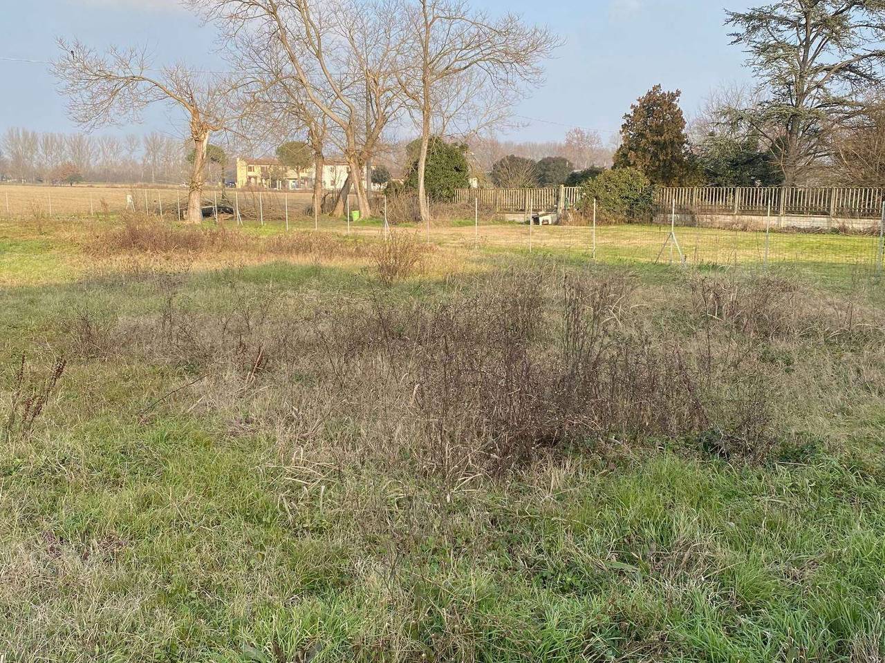 immagine annuncio 2 di 4