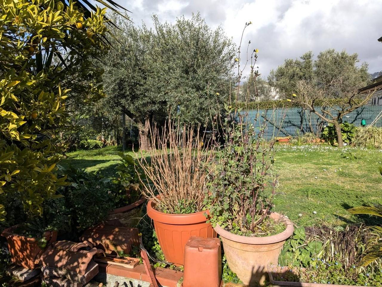 immagine annuncio 7 di 15
