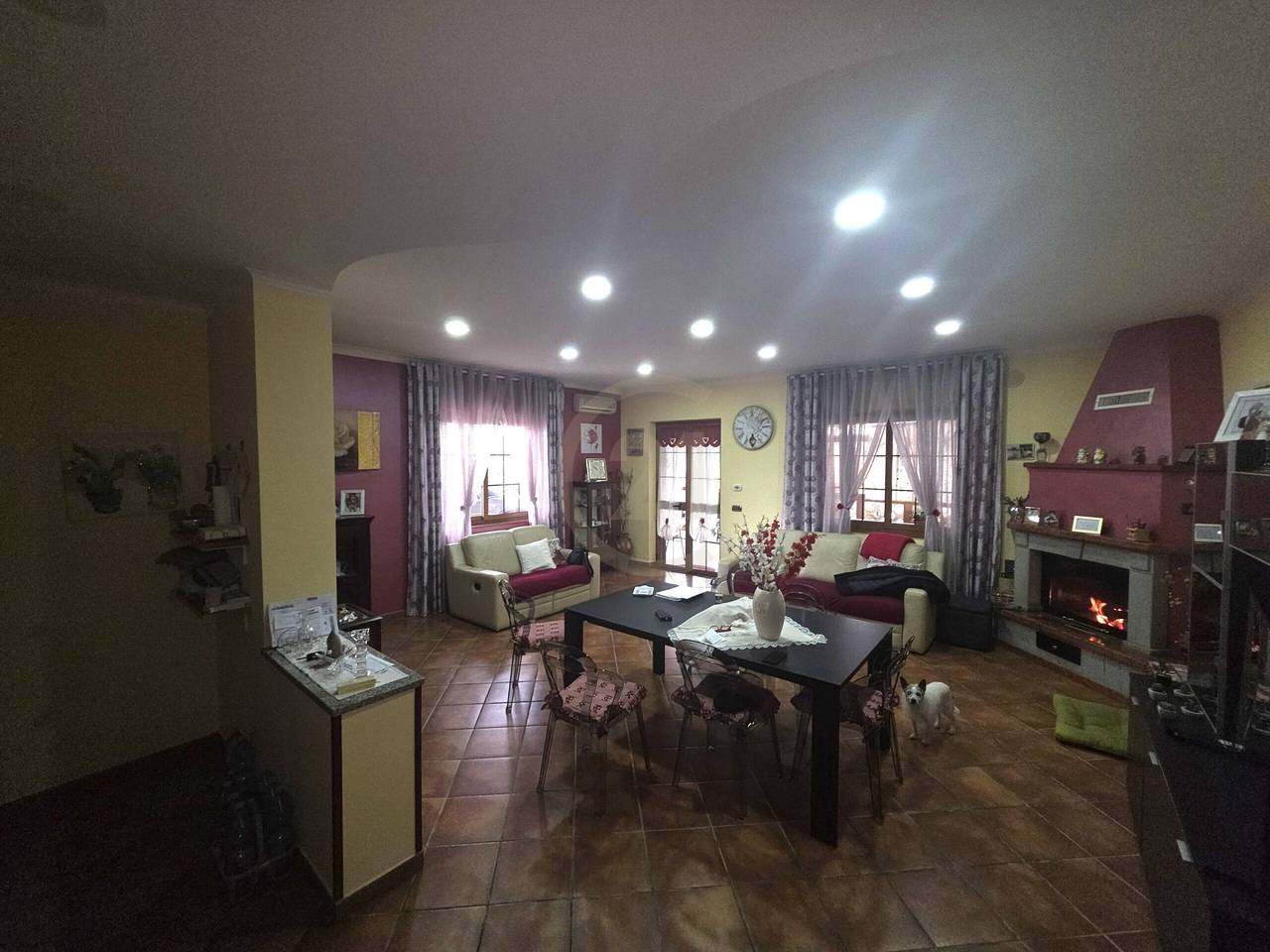 immagine annuncio 2 di 14