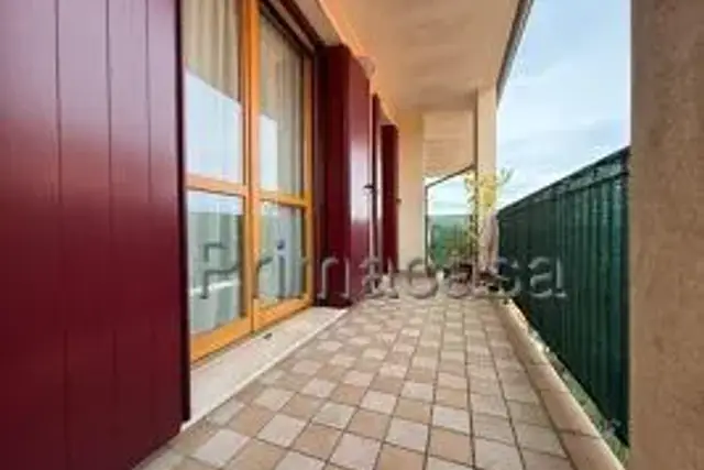 insertion image