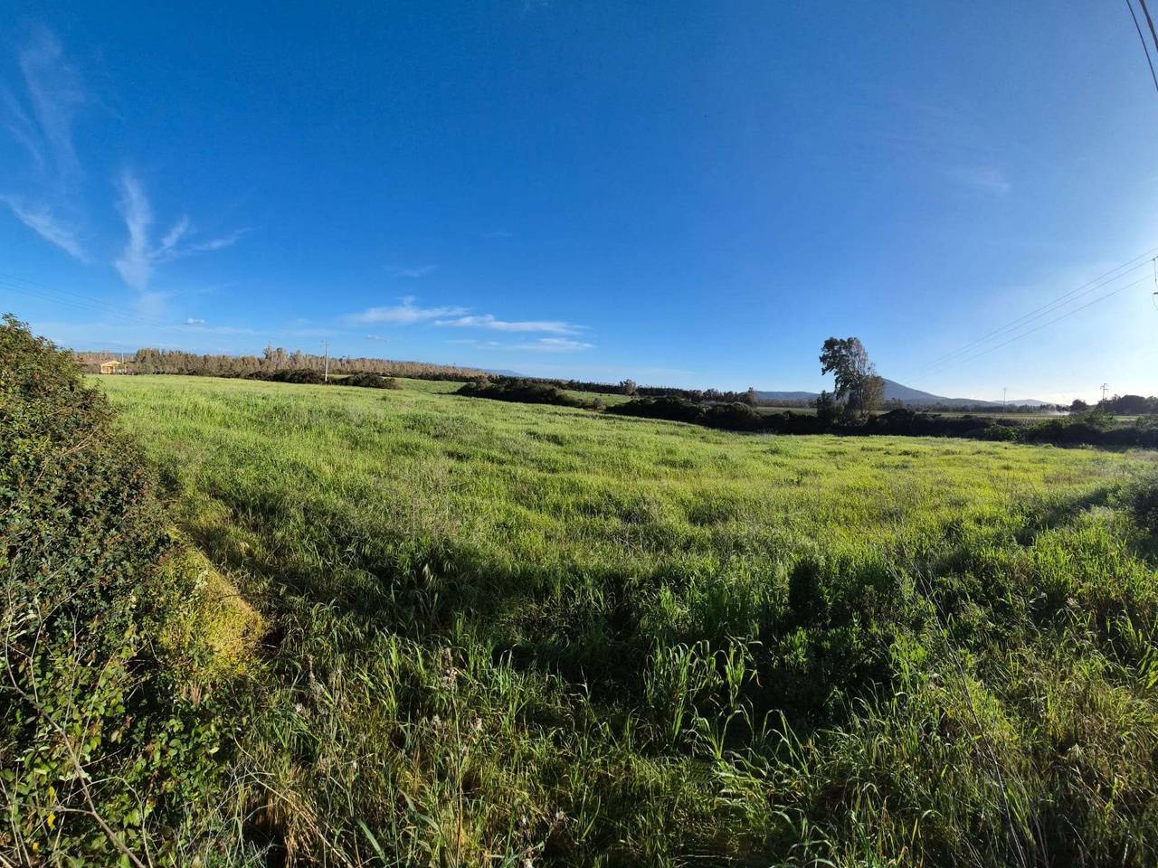 immagine annuncio 7 di 14