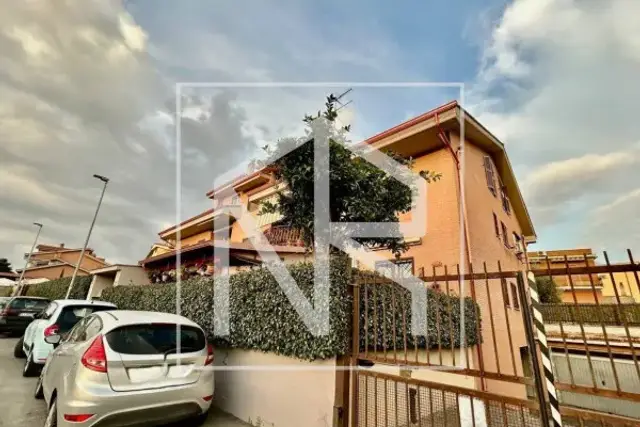 insertion image
