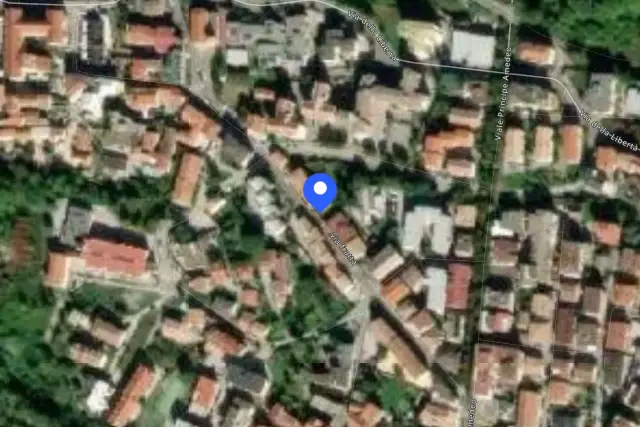 insertion image