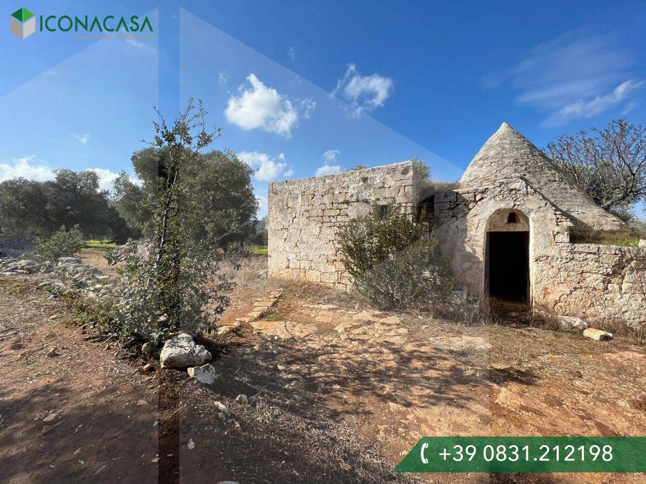 immagine annuncio 7 di 9