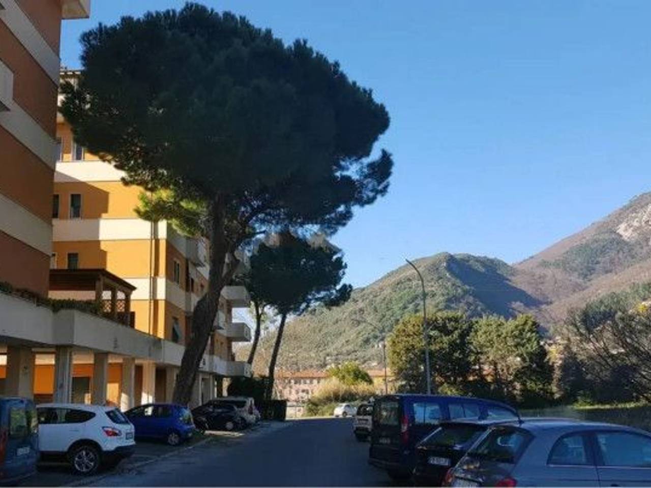 immagine annuncio 2 di 4