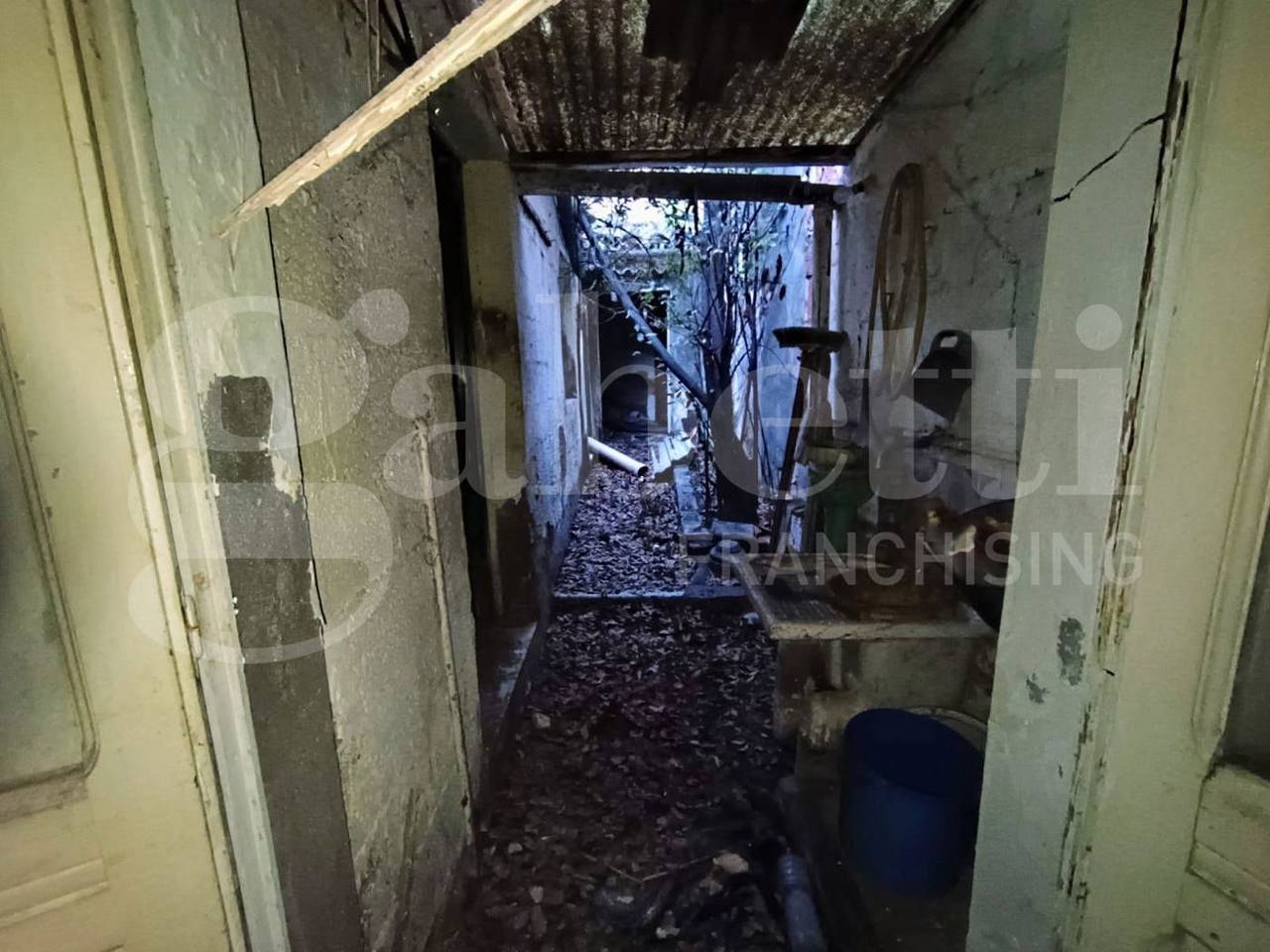 immagine annuncio 12 di 13