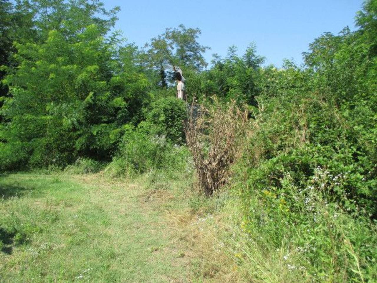 immagine annuncio 1 di 4