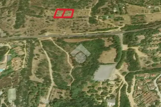 insertion image