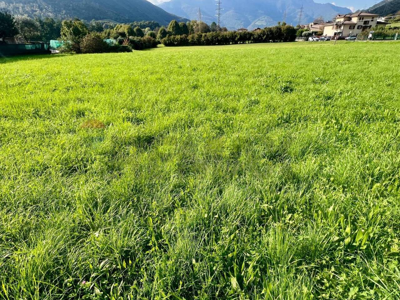 immagine annuncio 4 di 11