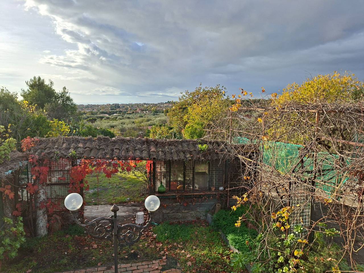 immagine annuncio 5 di 11