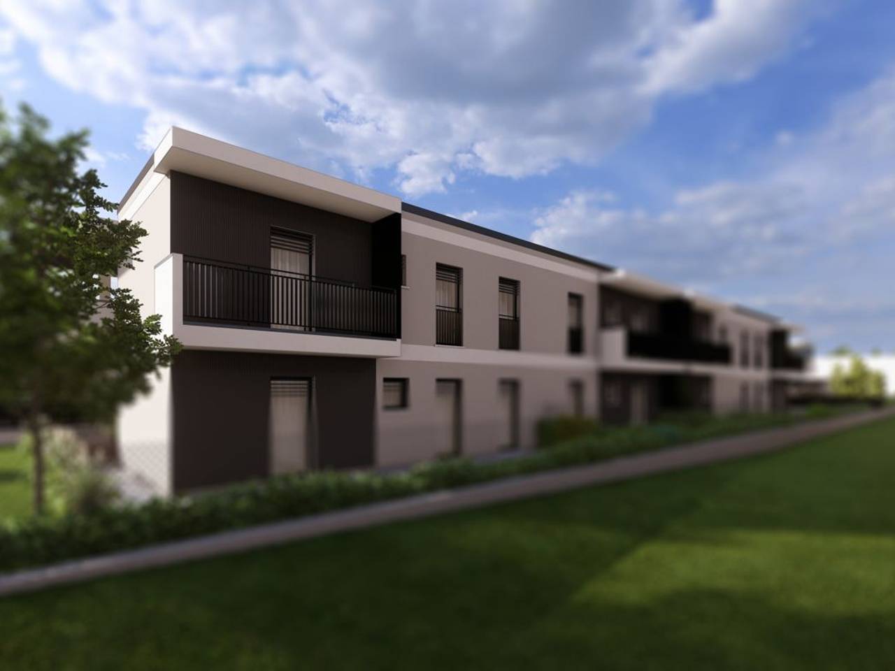 immagine annuncio 12 di 14