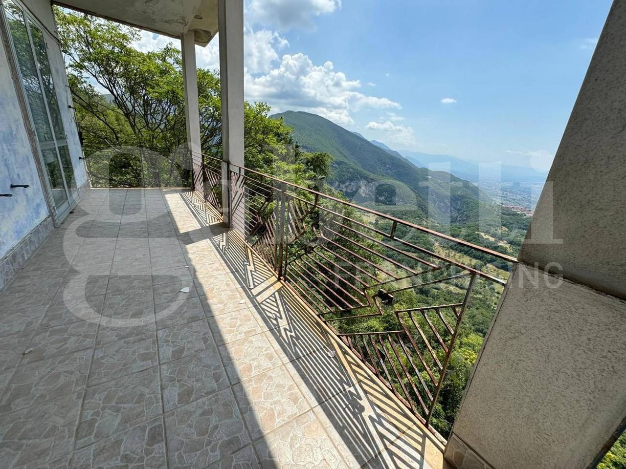 immagine annuncio 12 di 14