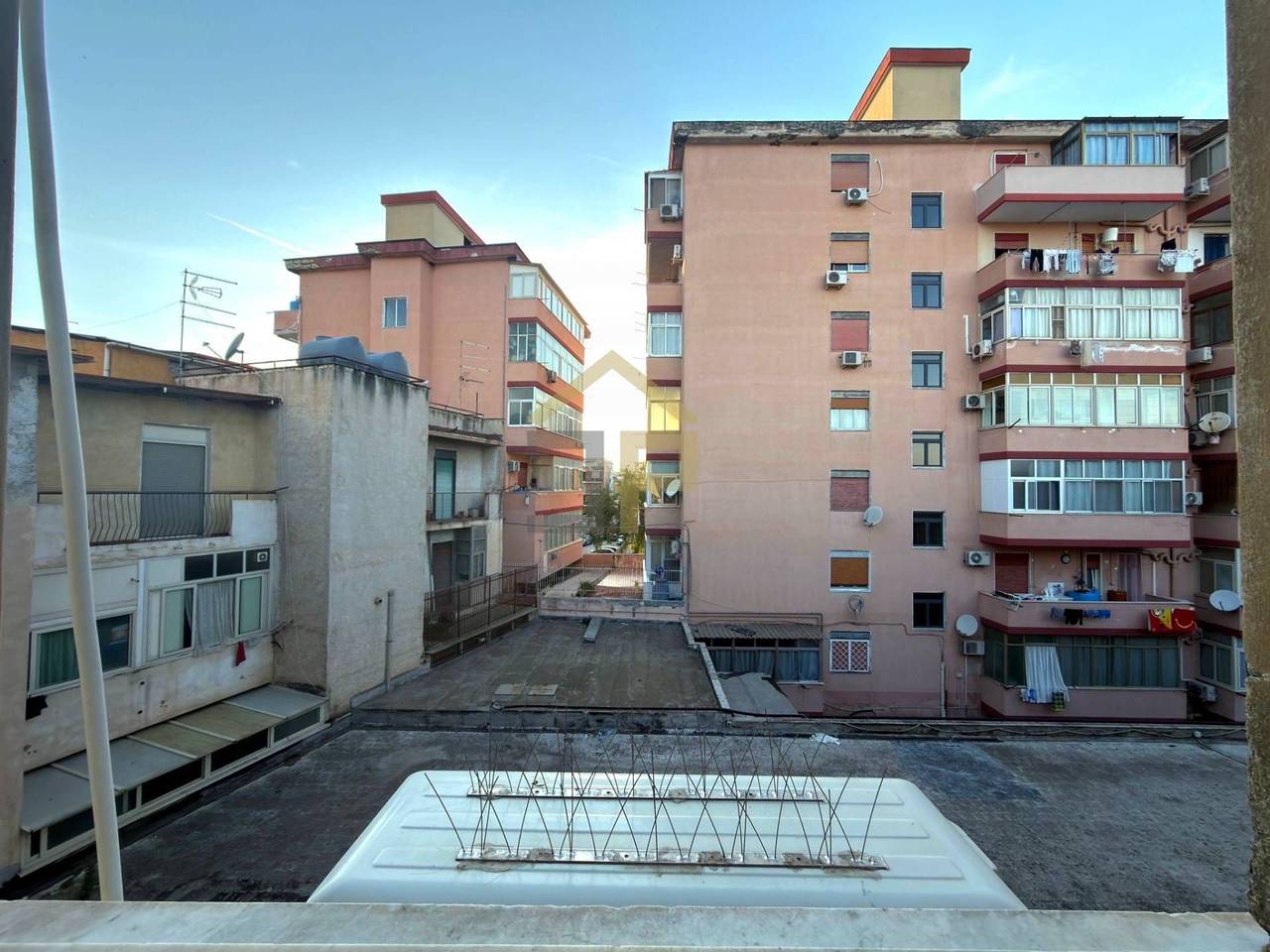 immagine annuncio 11 di 14