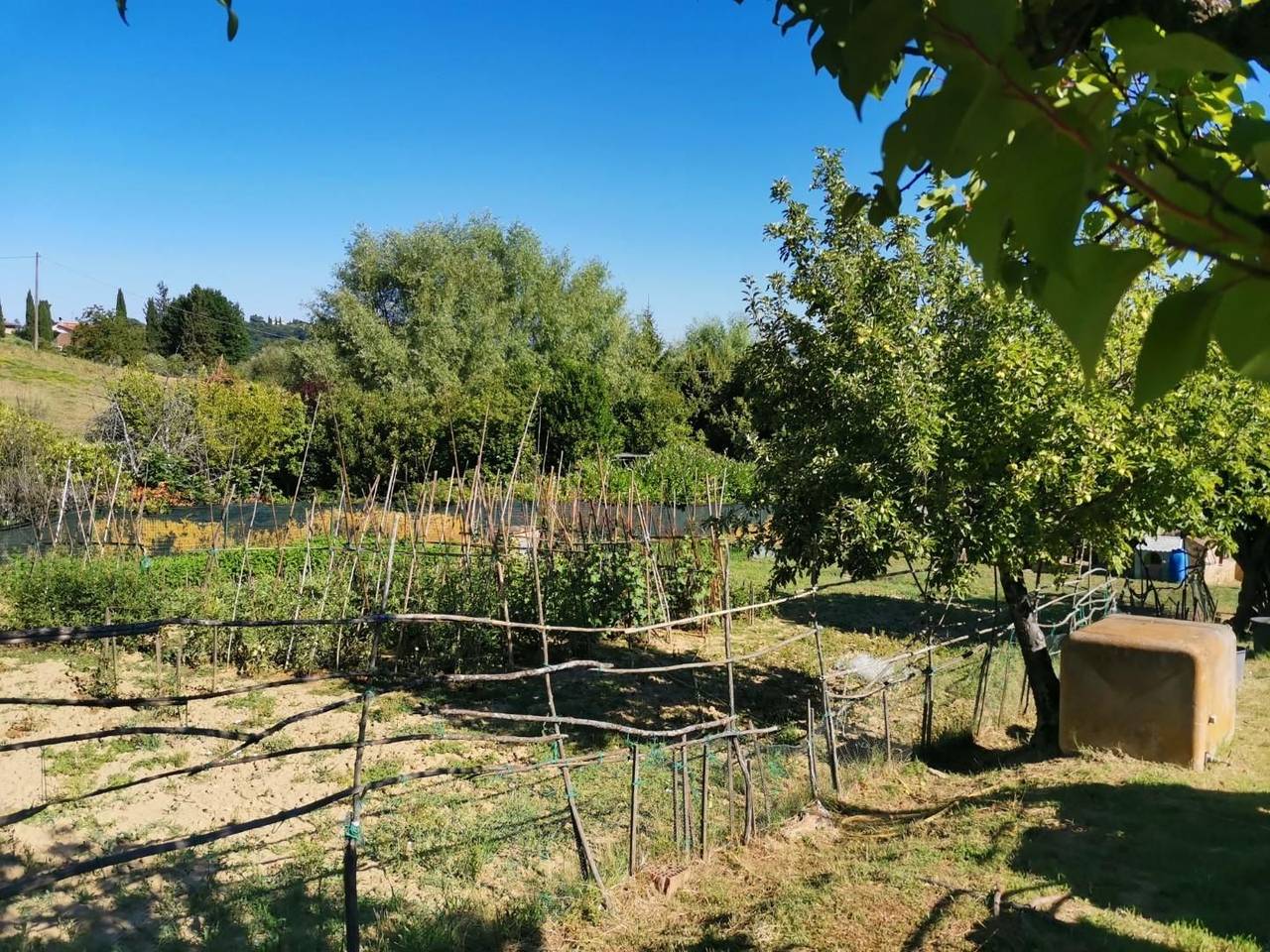 immagine annuncio 3 di 14