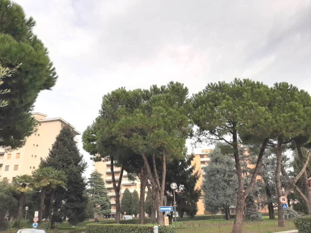 immagine annuncio 3 di 6
