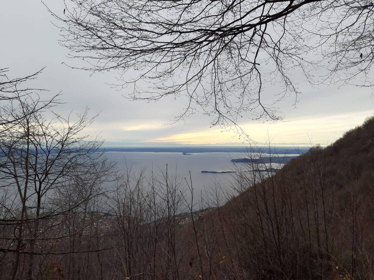 immagine annuncio 1 di 6