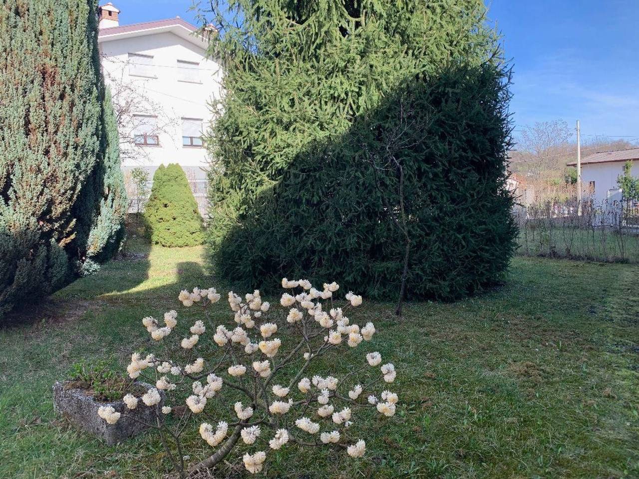 immagine annuncio 5 di 12