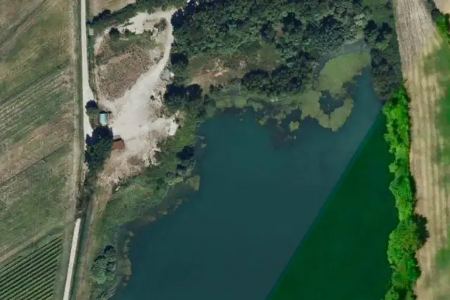insertion image