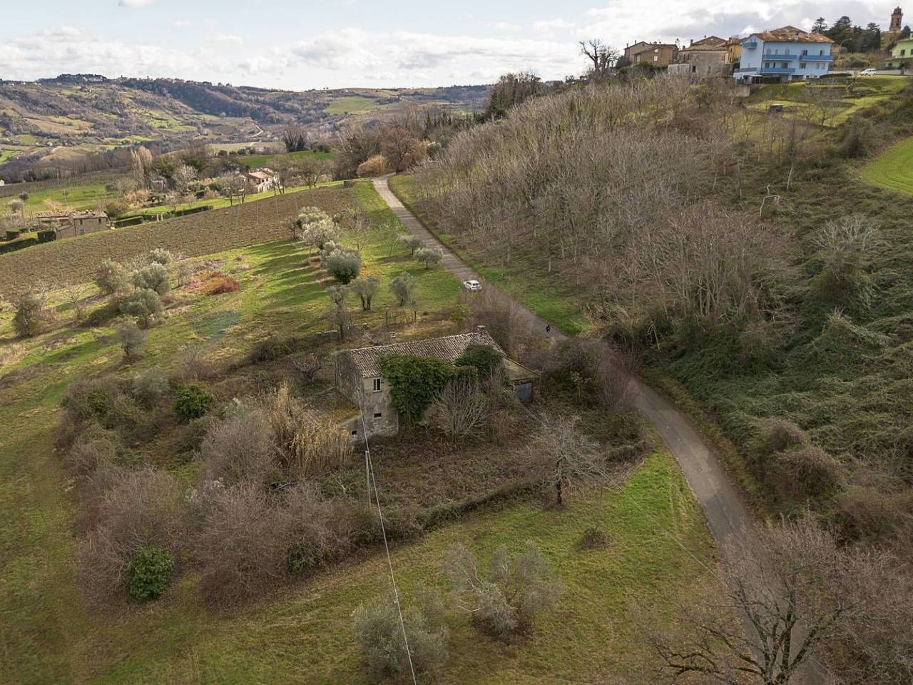 immagine annuncio 6 di 14