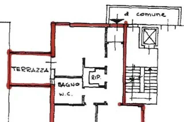 insertion image