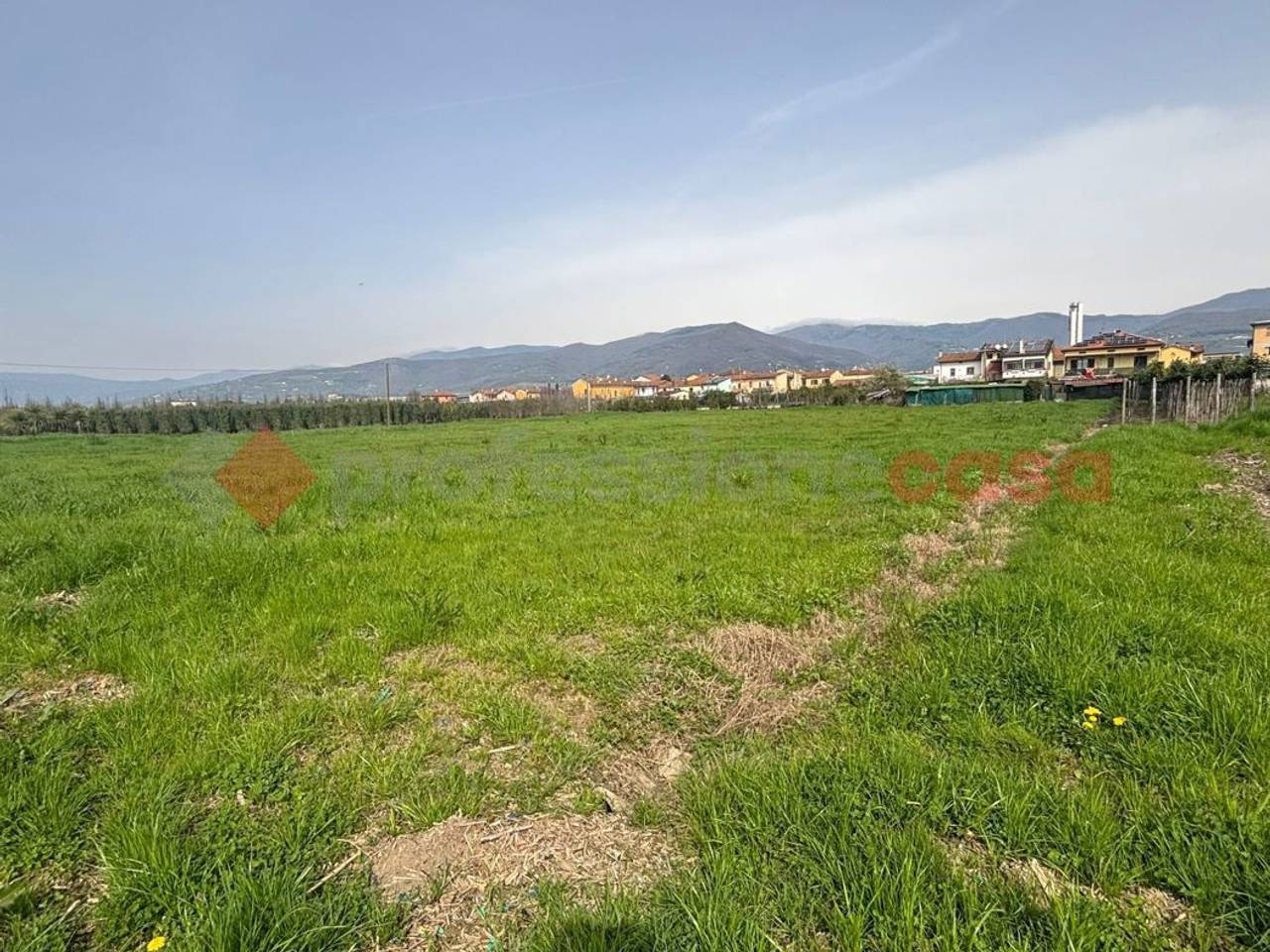 immagine annuncio 4 di 7