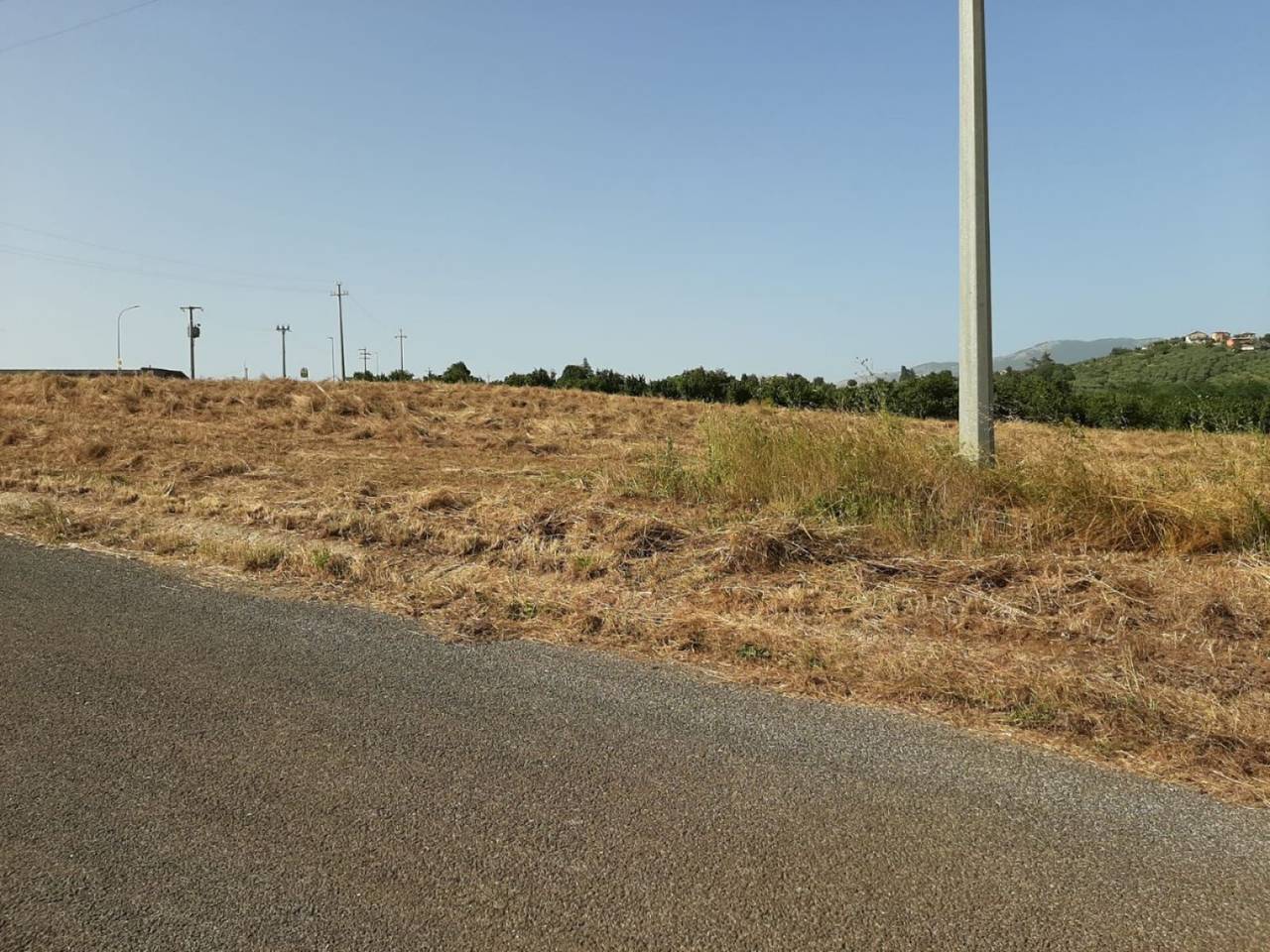 immagine annuncio 5 di 7