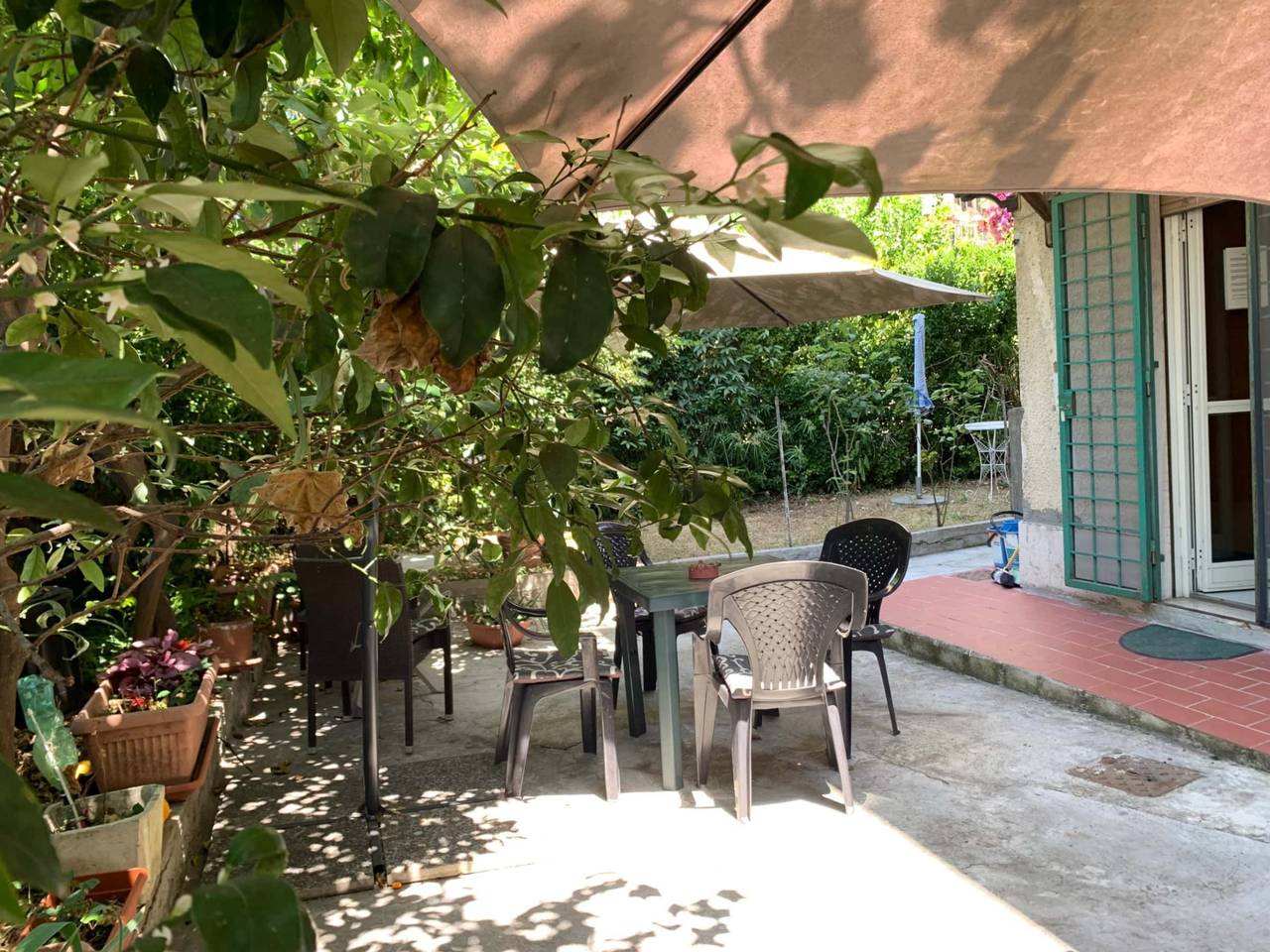 immagine annuncio 2 di 12