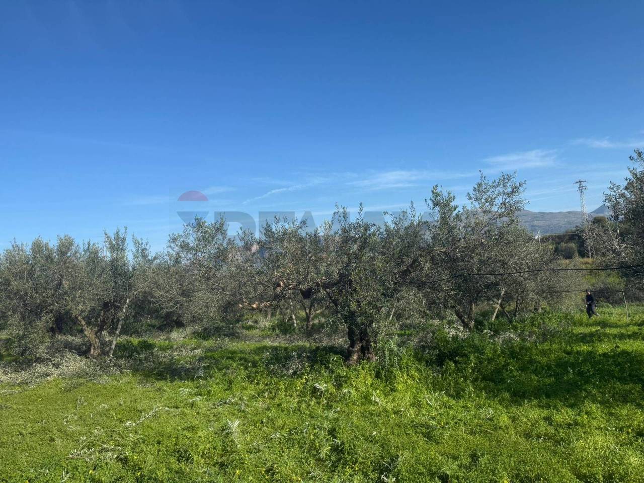 immagine annuncio 4 di 7