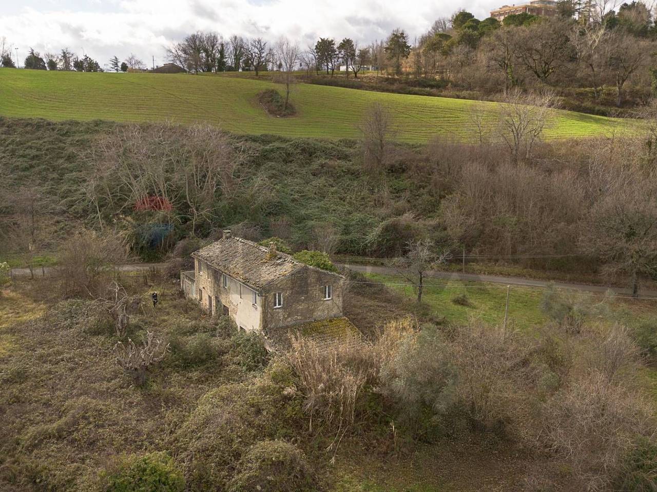 immagine annuncio 4 di 14