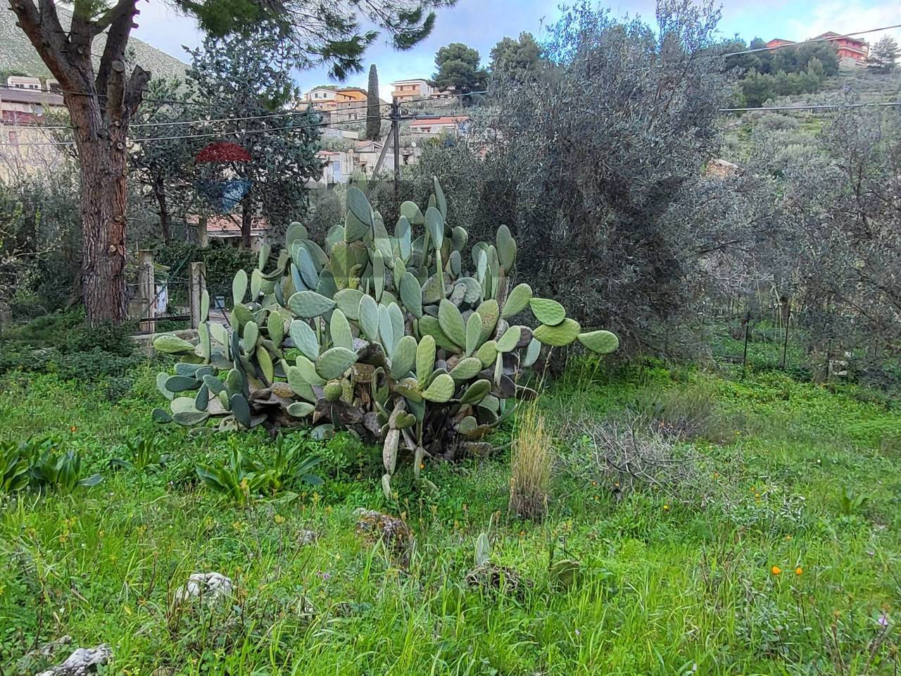 immagine annuncio 5 di 13