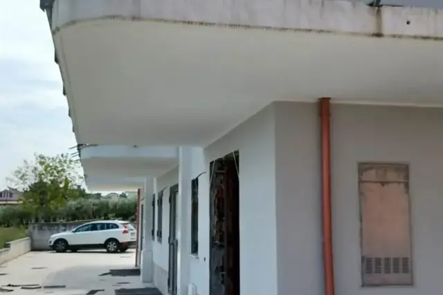insertion image