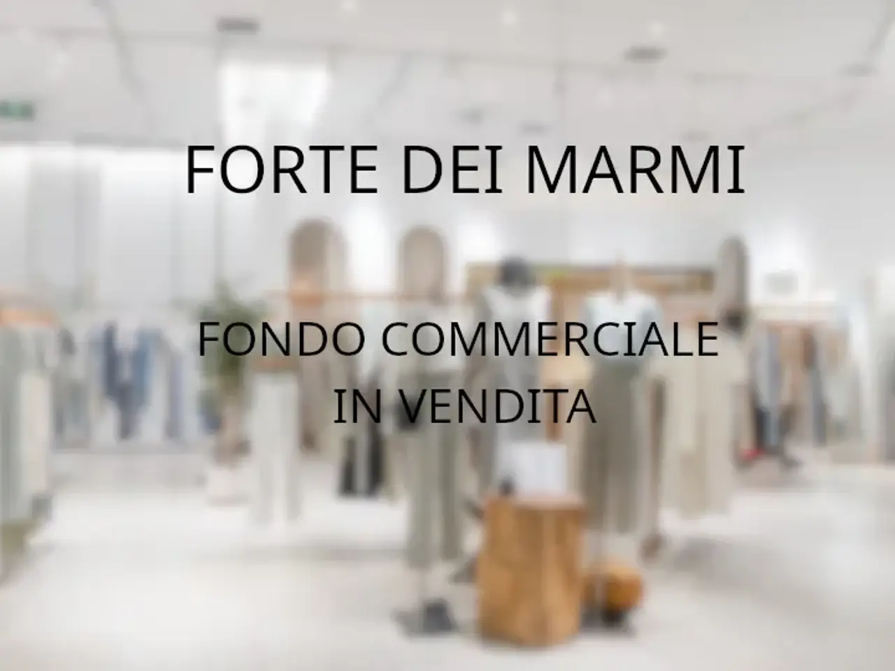 Negozio in Via Padre Ignazio da Carrara, Forte Dei Marmi, {3} - Foto 1