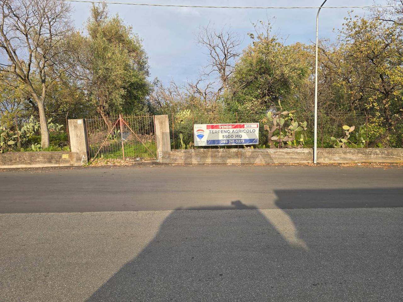 immagine annuncio 1 di 6