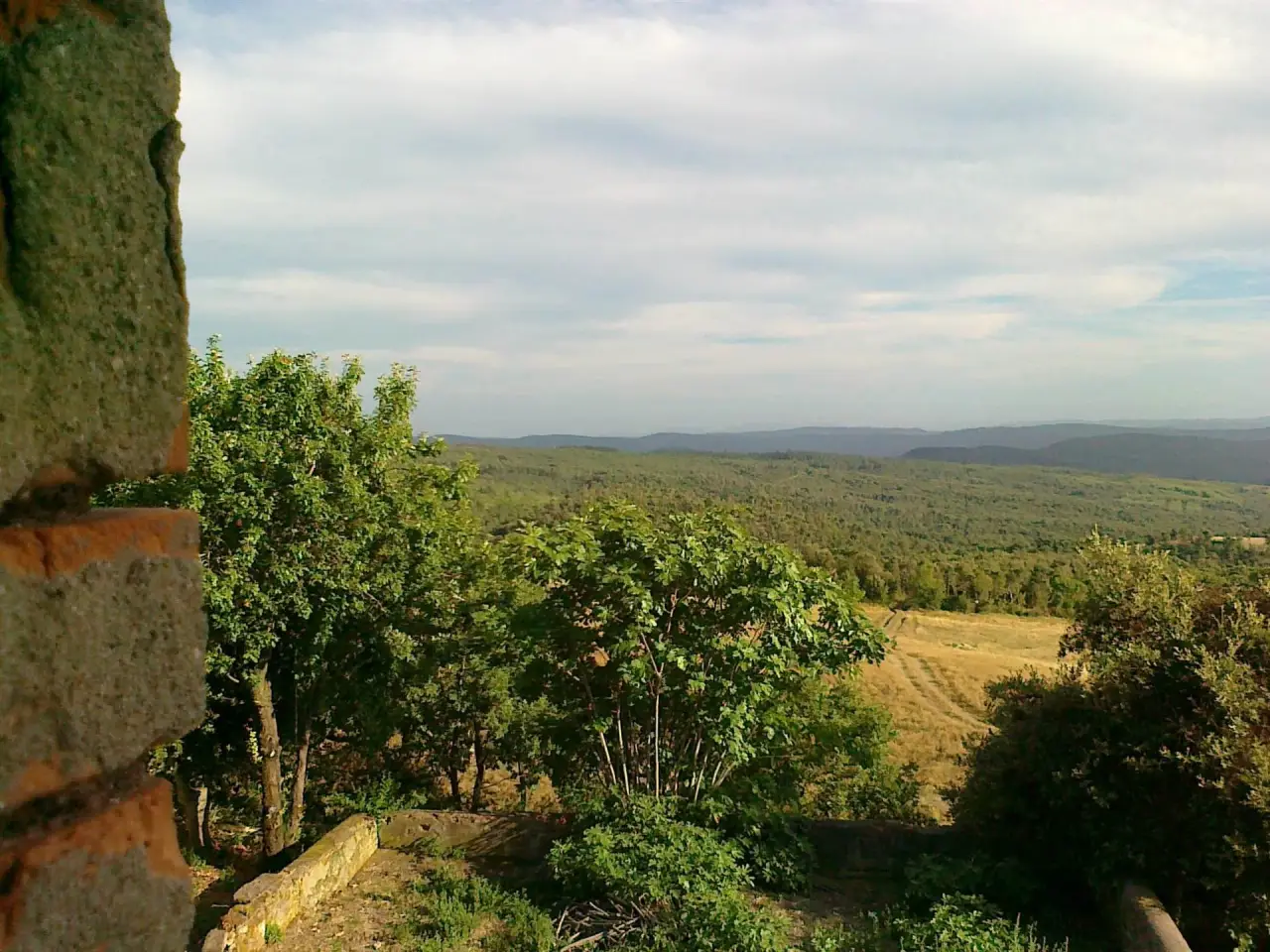 Azienda agricola in , Monteverdi Marittimo, {3} - Foto 1