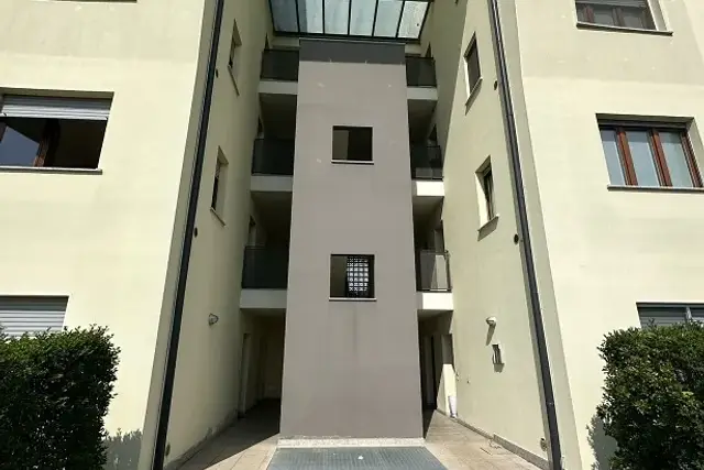 insertion image
