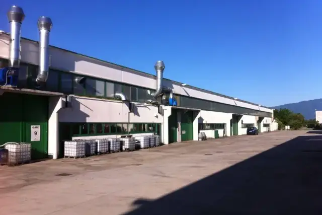 insertion image