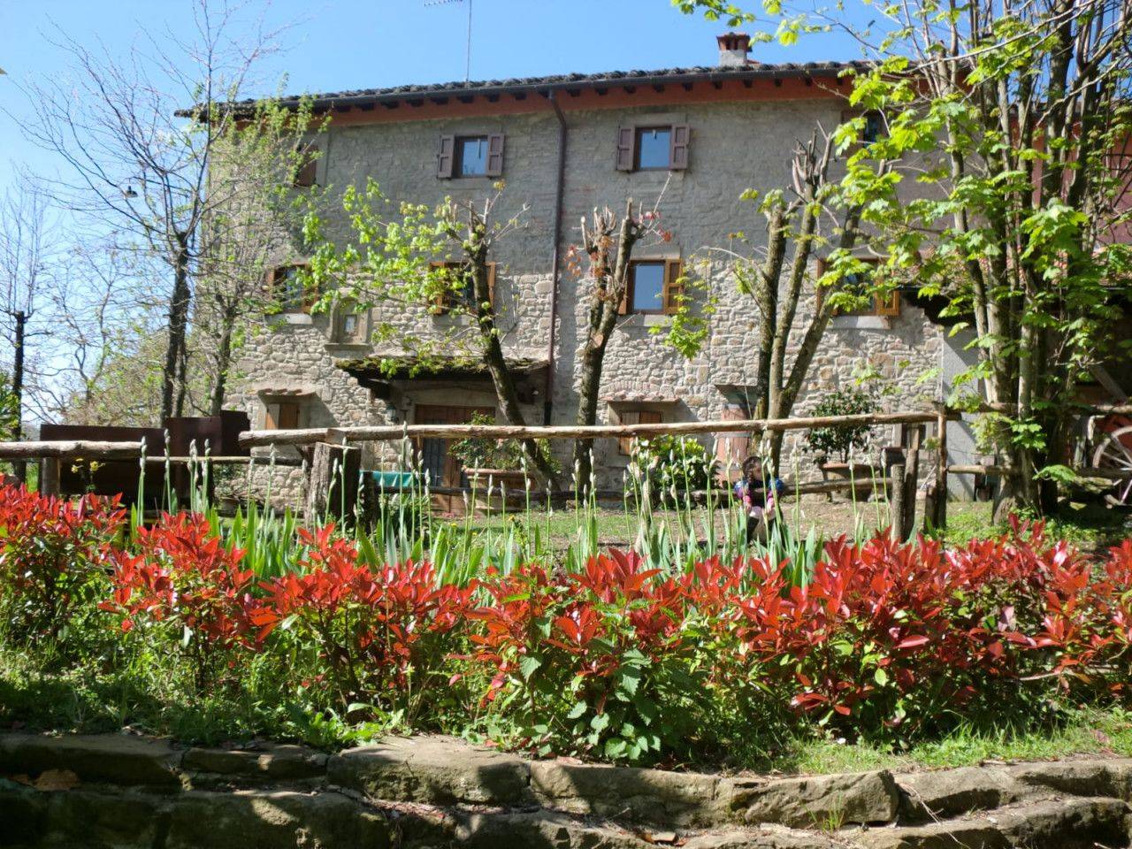 immagine annuncio 2 di 5