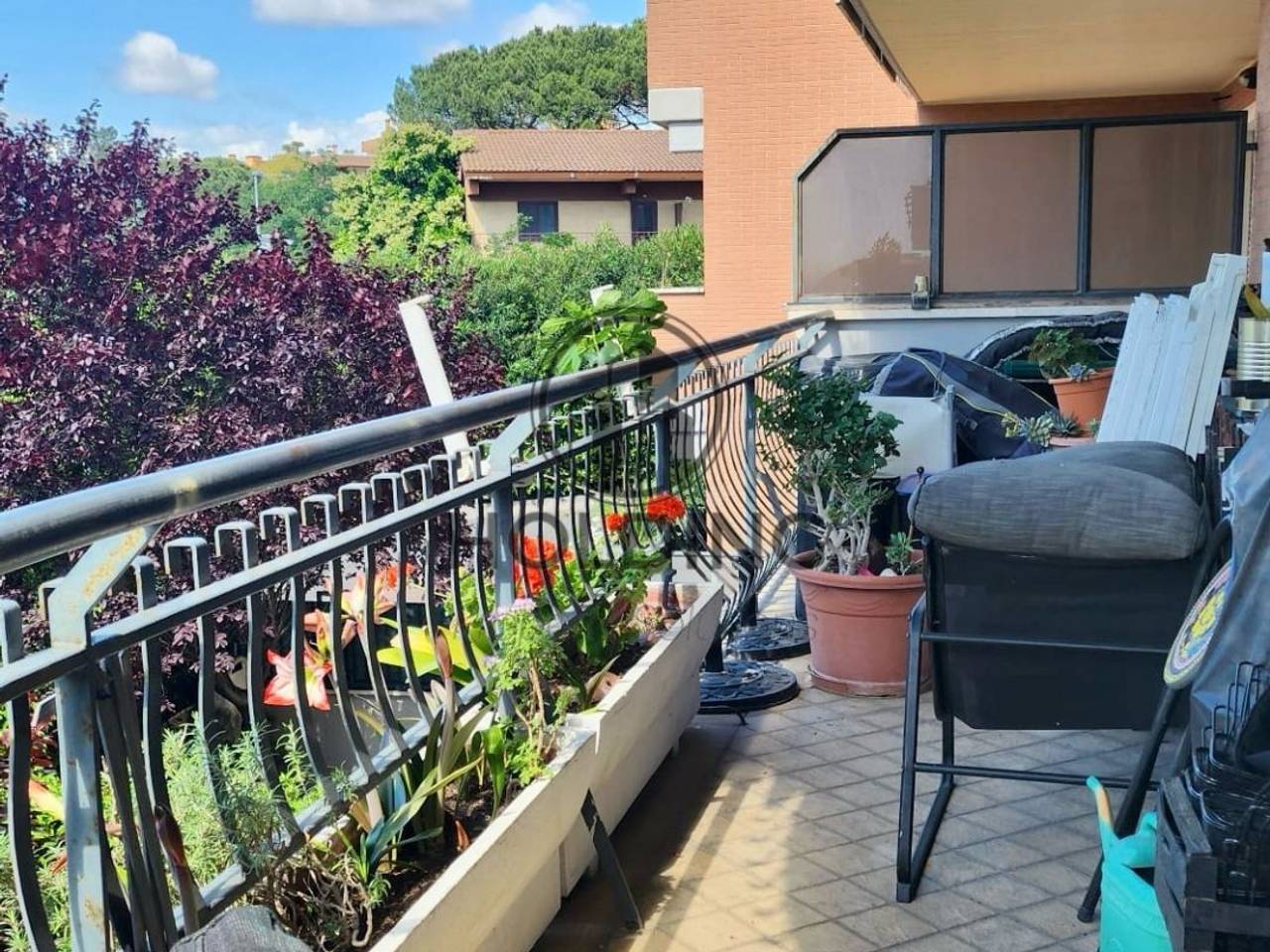 immagine annuncio 10 di 12