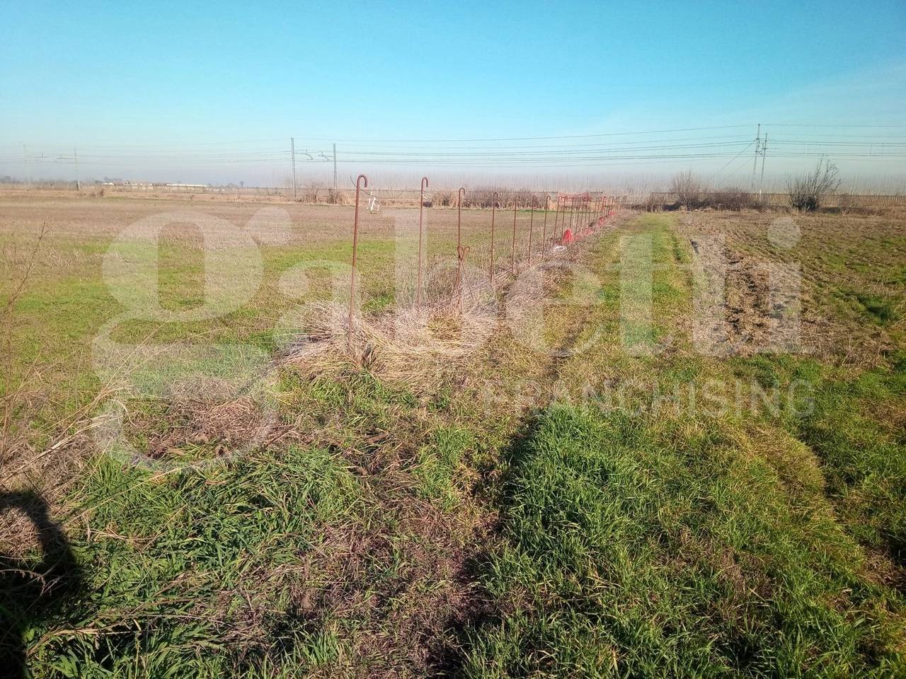 immagine annuncio 4 di 12