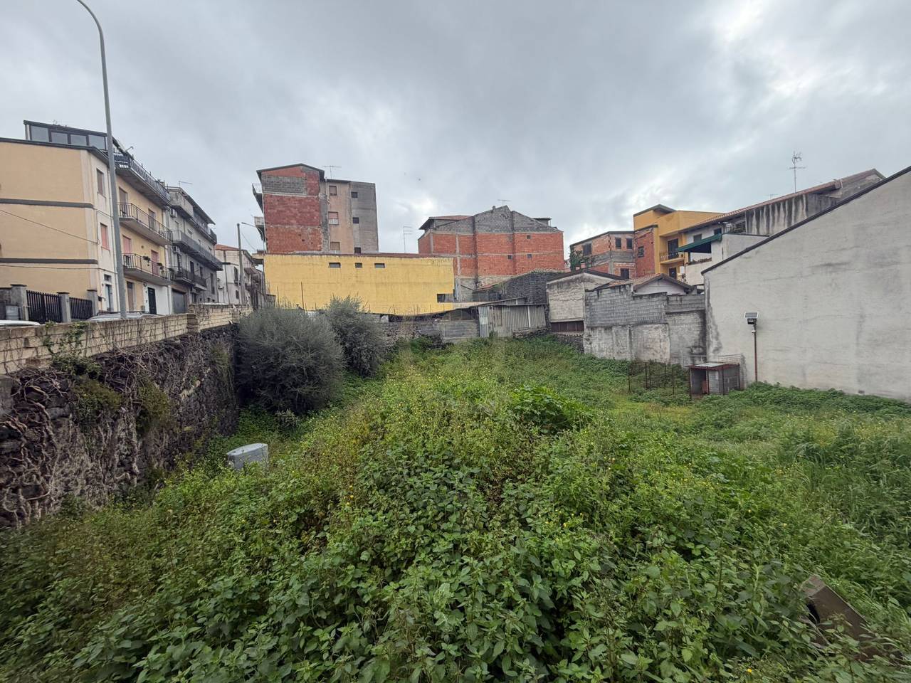 immagine annuncio 2 di 4