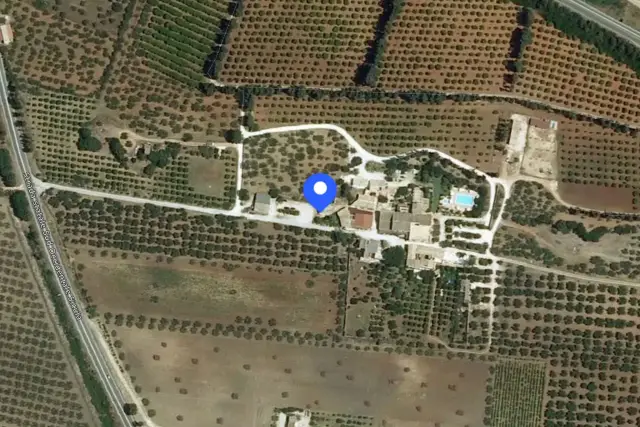 insertion image