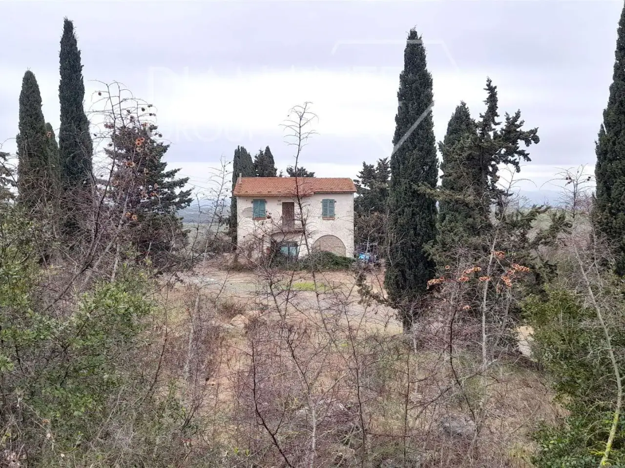 Azienda agricola in , Scansano, {3} - Foto 2