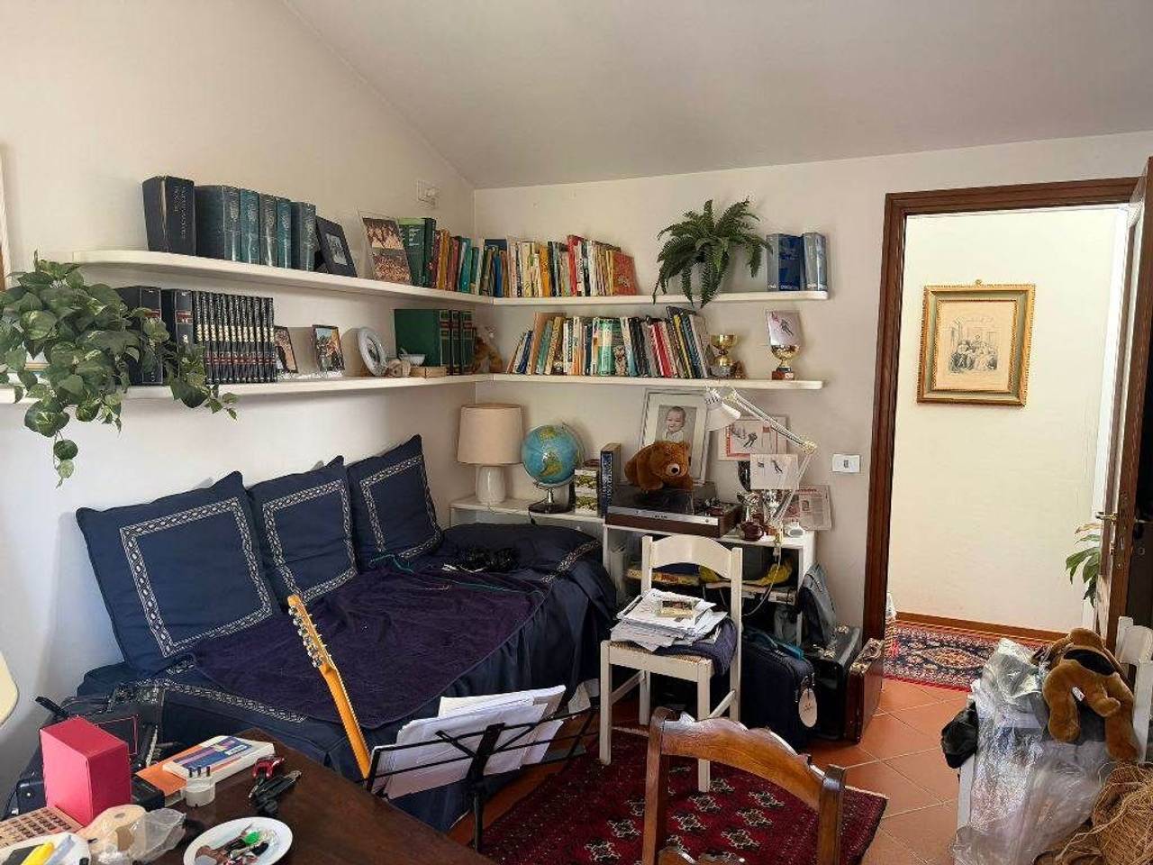 immagine annuncio 14 di 15