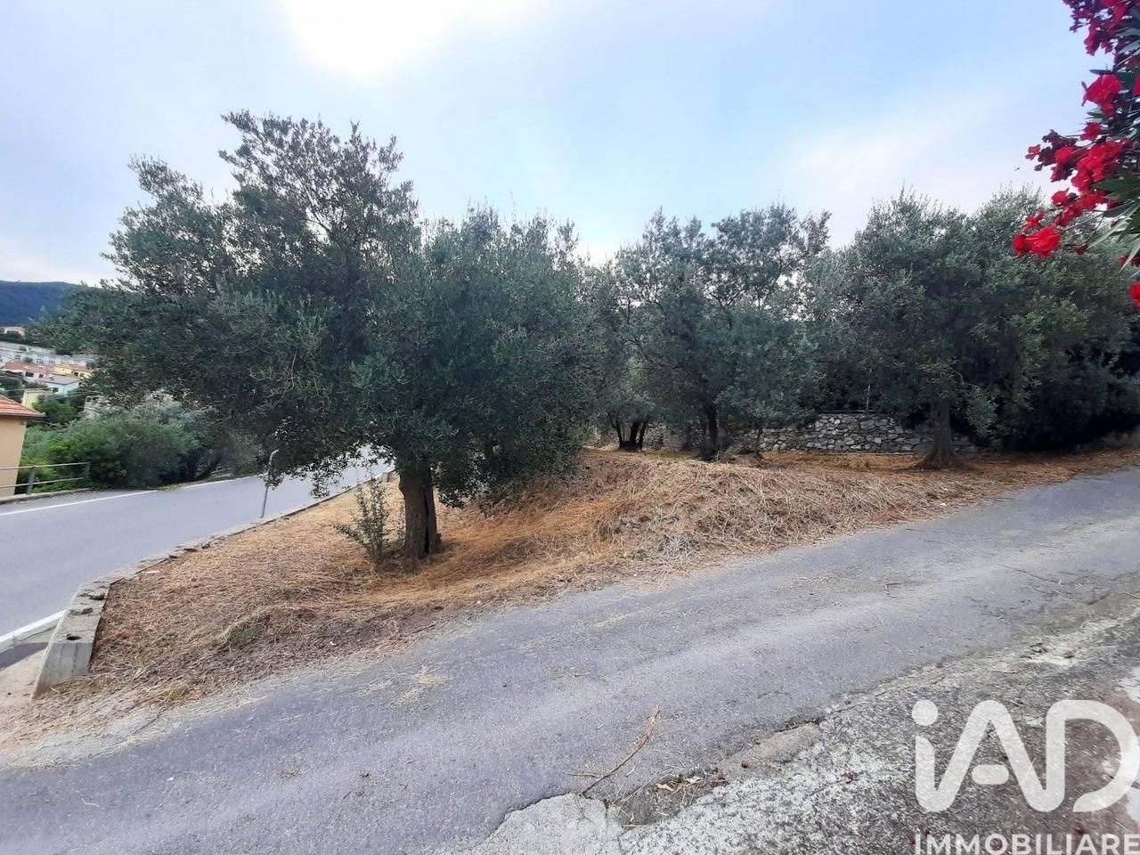 immagine annuncio 4 di 9