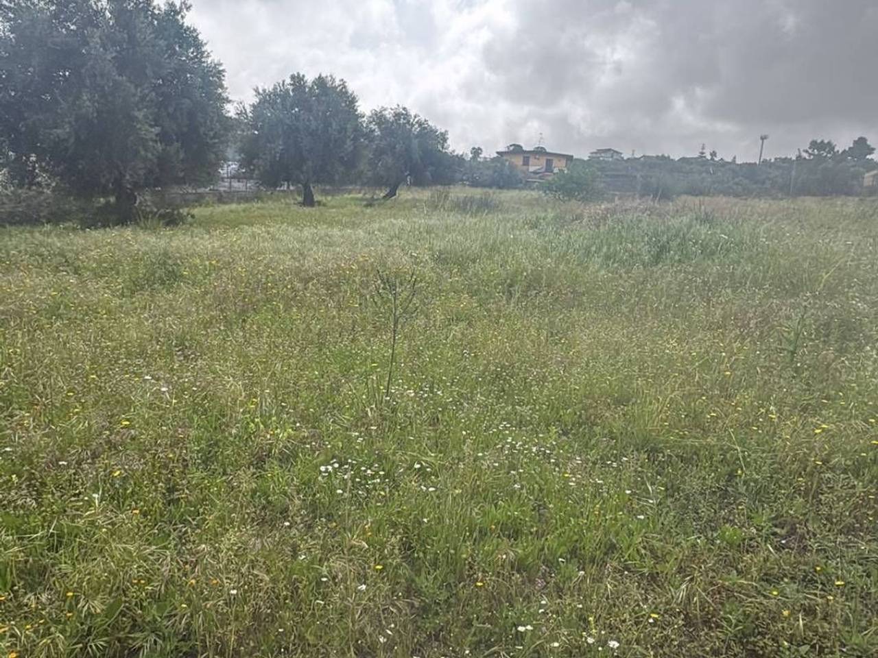 immagine annuncio 5 di 7