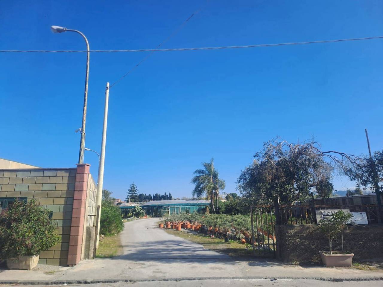 immagine annuncio 4 di 7