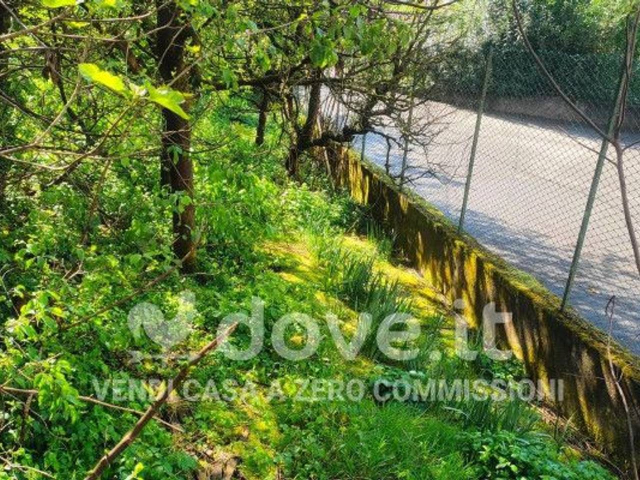 immagine annuncio 12 di 14