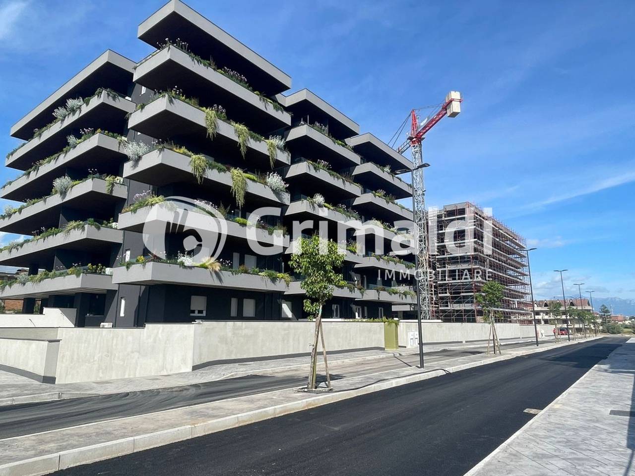 immagine annuncio 13 di 14