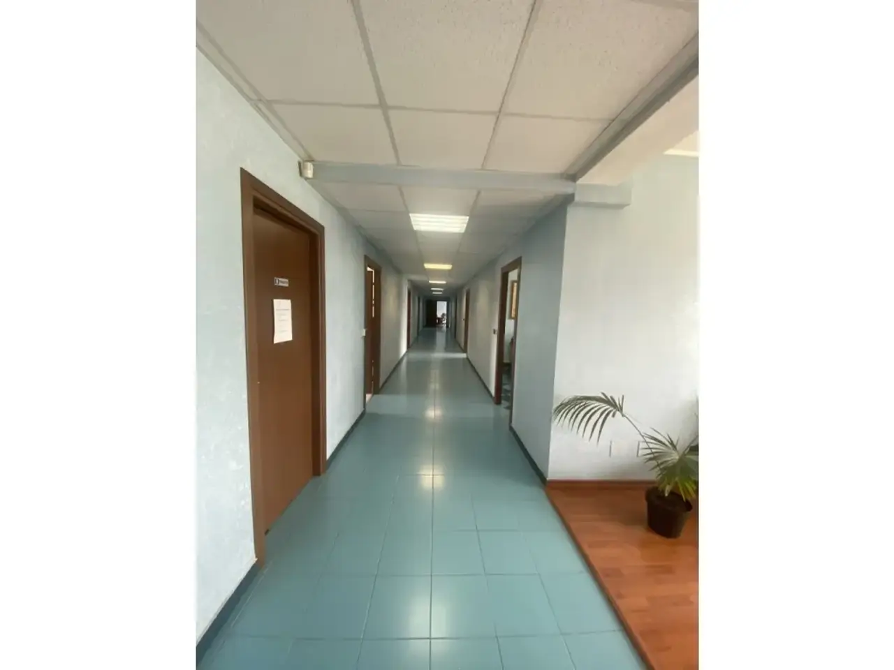 Ufficio in , Frosinone, {3} - Foto 1