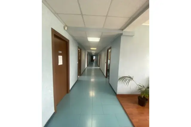 insertion image